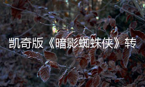 版暗影艾美侠喜剧凯奇蜘蛛转战提名赛道将奖